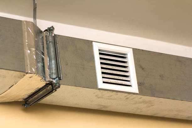Best Air Duct Sanitizing Services  in Westmoreland, TN